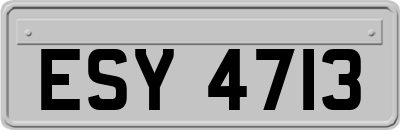 ESY4713