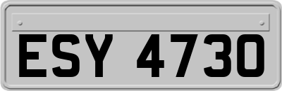ESY4730