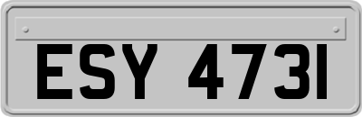 ESY4731
