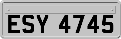 ESY4745