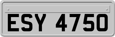 ESY4750