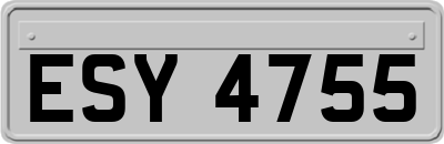 ESY4755