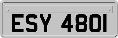 ESY4801