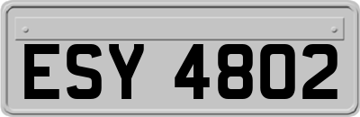 ESY4802
