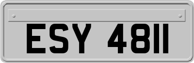 ESY4811