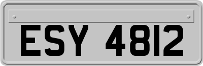 ESY4812