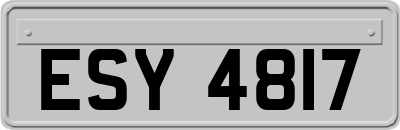 ESY4817