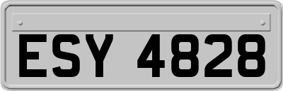 ESY4828