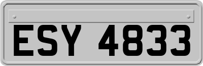 ESY4833