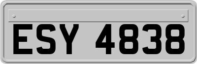ESY4838