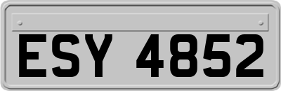 ESY4852
