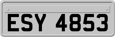 ESY4853