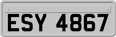 ESY4867