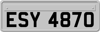 ESY4870
