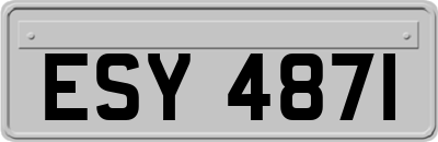 ESY4871