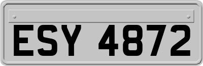 ESY4872