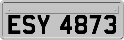 ESY4873
