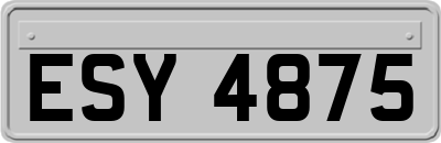 ESY4875