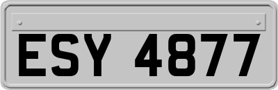 ESY4877
