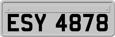 ESY4878