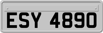 ESY4890
