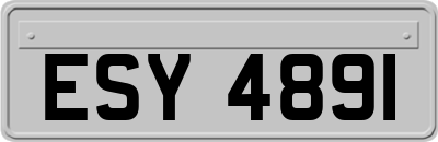 ESY4891