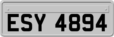 ESY4894