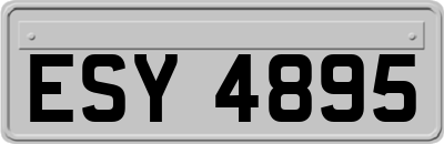 ESY4895