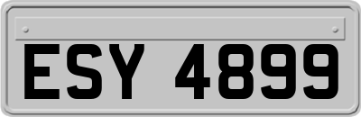 ESY4899