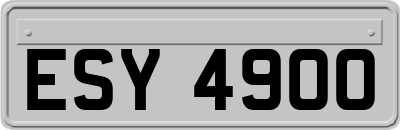 ESY4900