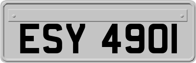 ESY4901