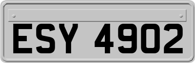 ESY4902