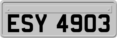 ESY4903
