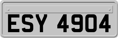 ESY4904