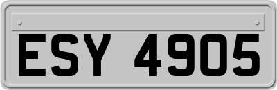 ESY4905