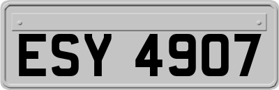 ESY4907