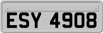 ESY4908