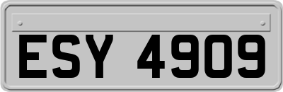 ESY4909