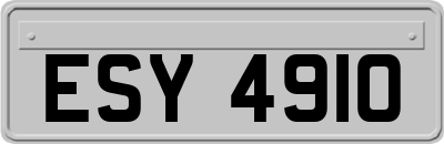 ESY4910