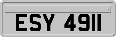 ESY4911