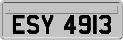 ESY4913