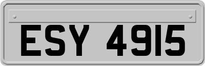 ESY4915