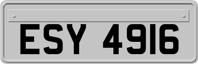 ESY4916