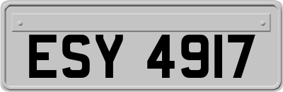 ESY4917