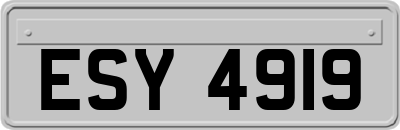ESY4919
