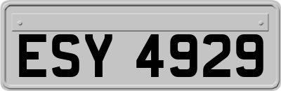 ESY4929