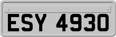ESY4930