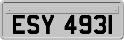 ESY4931
