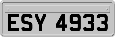 ESY4933