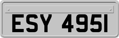 ESY4951